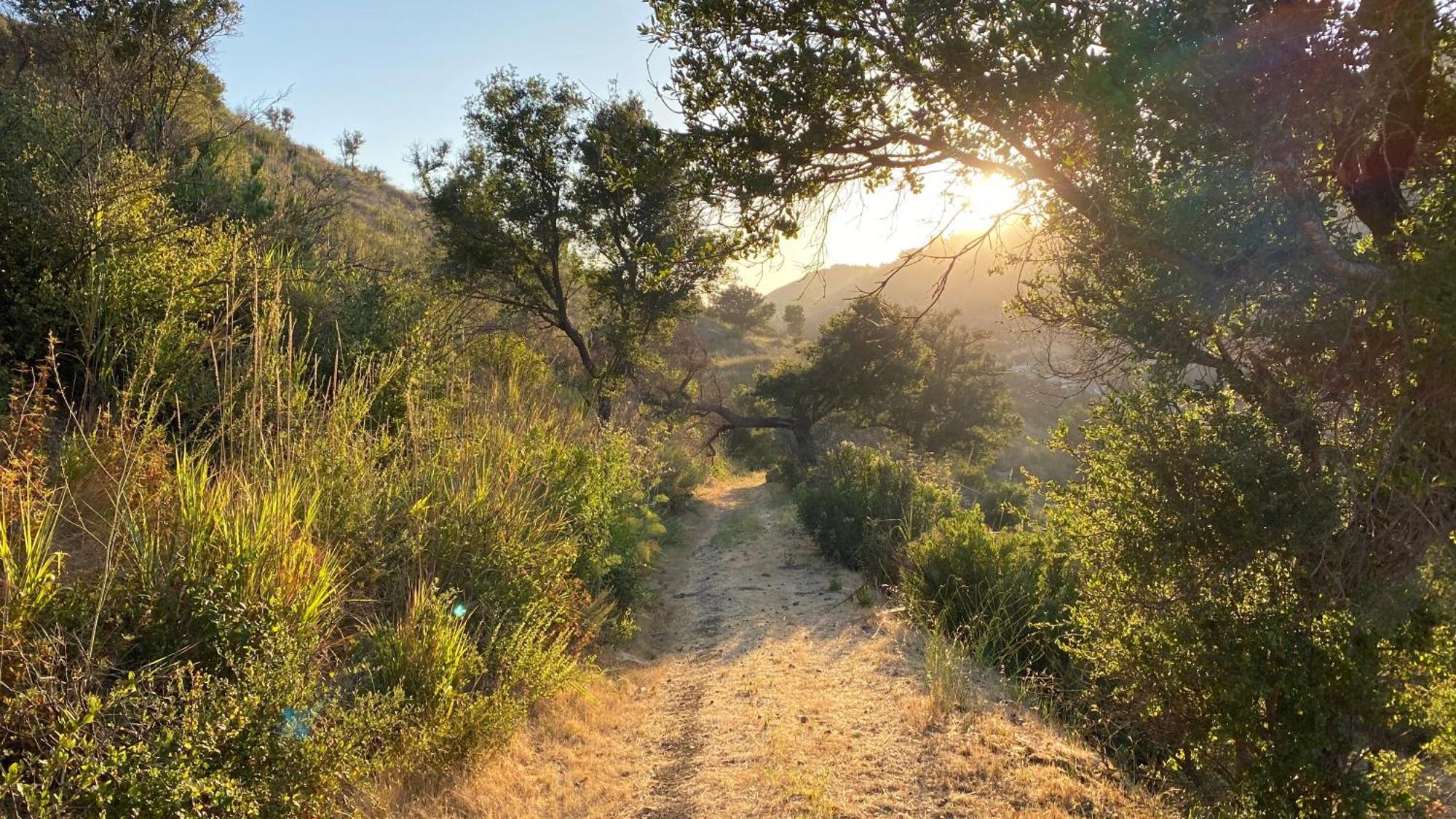 Malibu Ranch Guest House Hideway Bagian luar foto