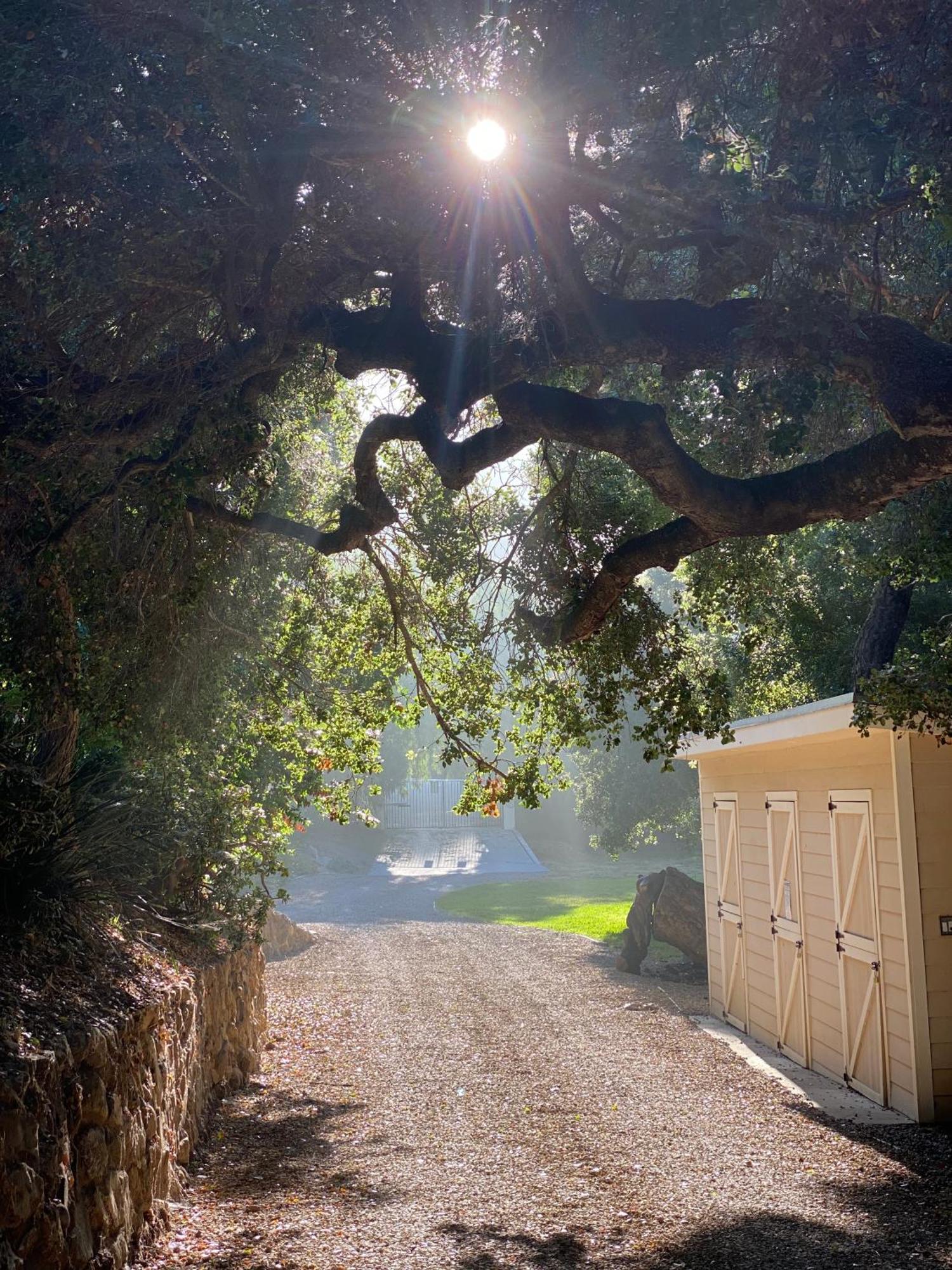 Malibu Ranch Guest House Hideway Bagian luar foto